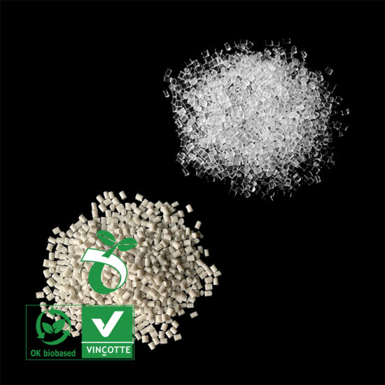 Proveedor reciclado de resina de poliéster biodegradable de bajo precio en China